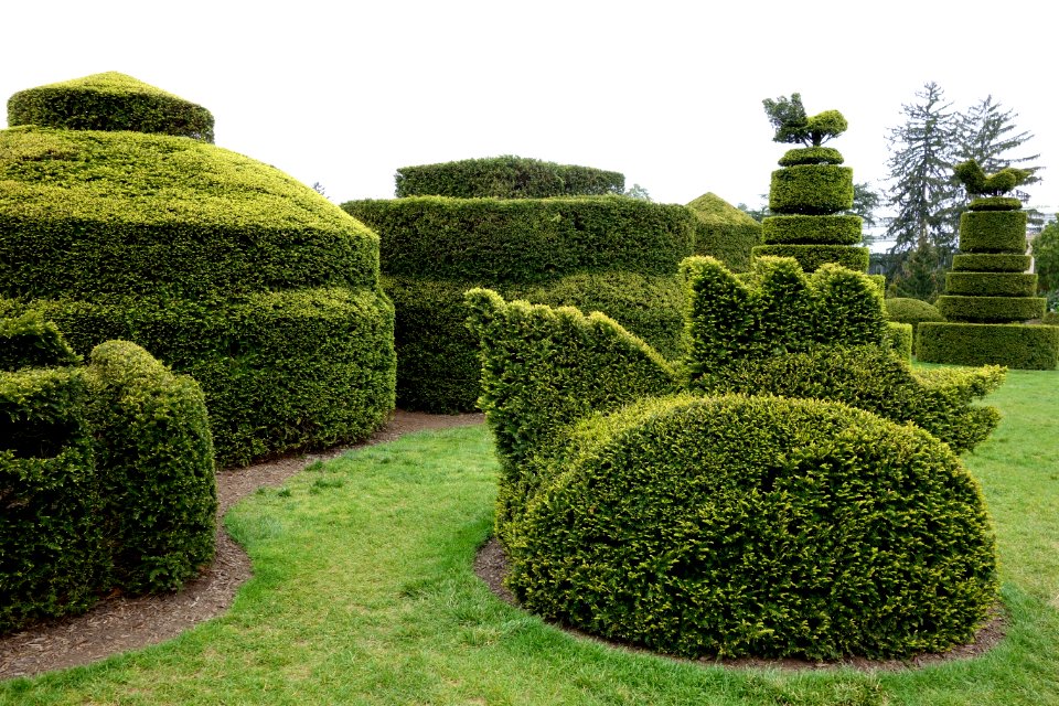 Topiary - Longwood Gardens - DSC00865