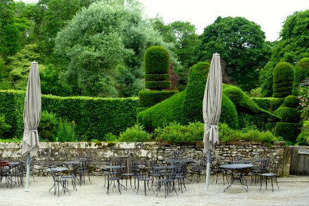 Topiary - Haddon Hall - Bakewell, Derbyshire, England - DSC02452