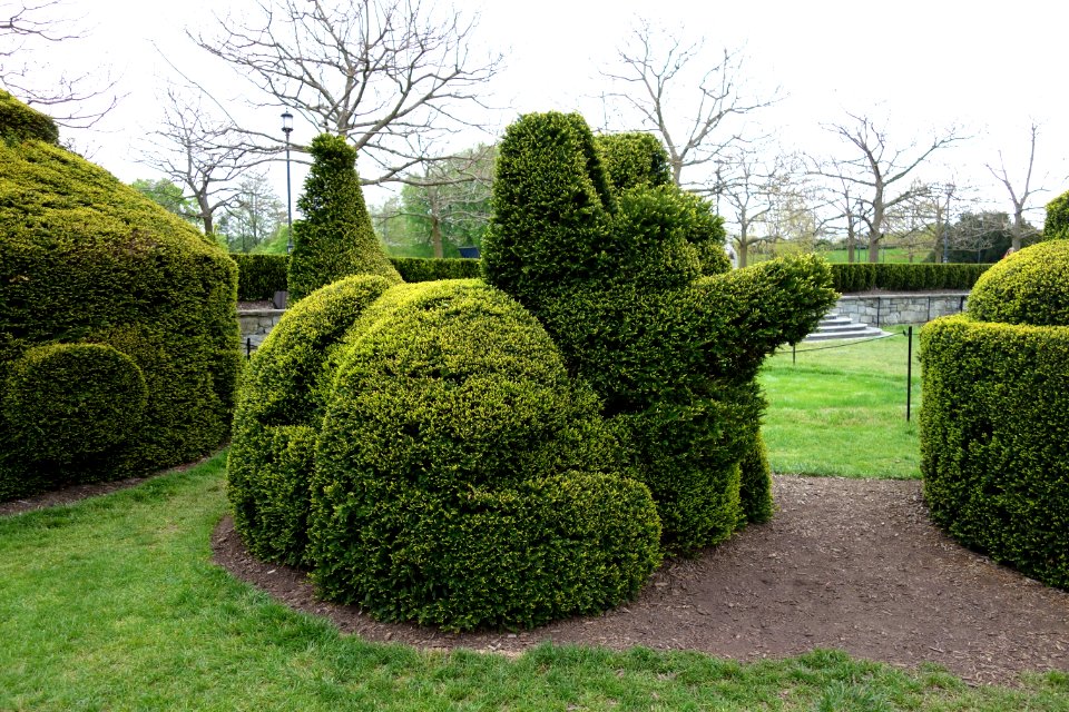 Topiary - Longwood Gardens - DSC00858