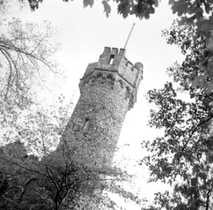 Toren van Burg Schwarzenstein op de Johannisberg bij Geisenheim, Bestanddeelnr 254-4246