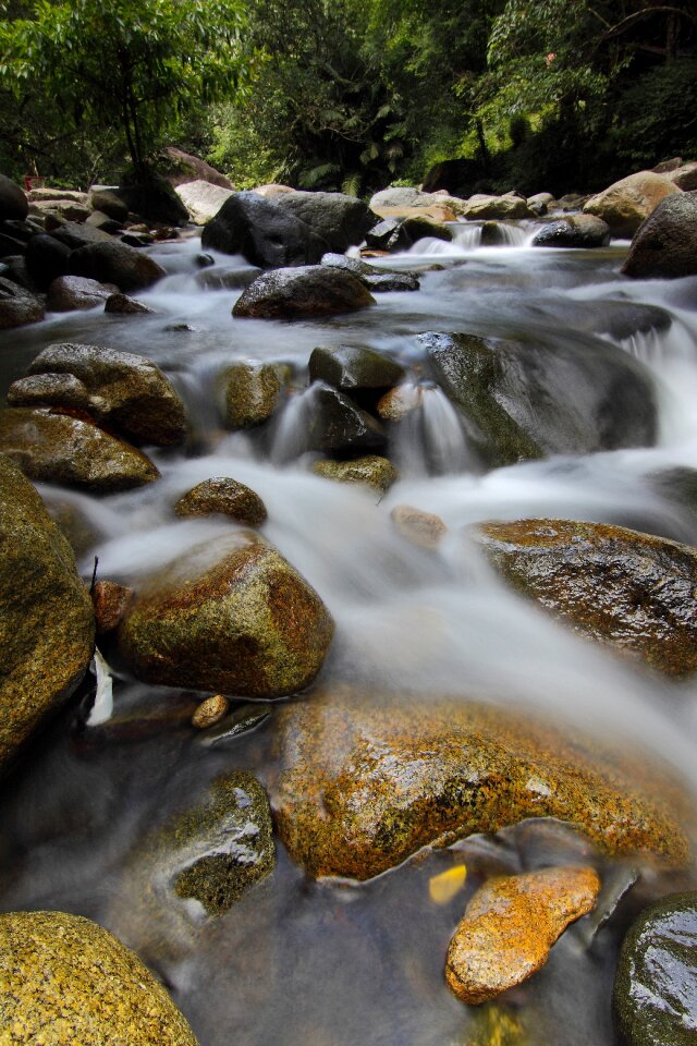 Landscape malaysia nature