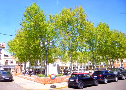 Torrijos - Plaza de España 3
