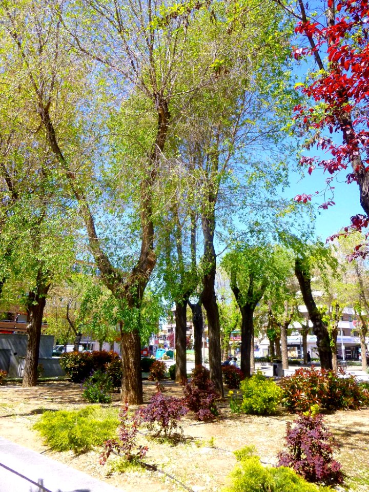 Torrijos 13