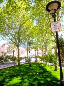 Torrijos - Plaza Caño Nuevo 2