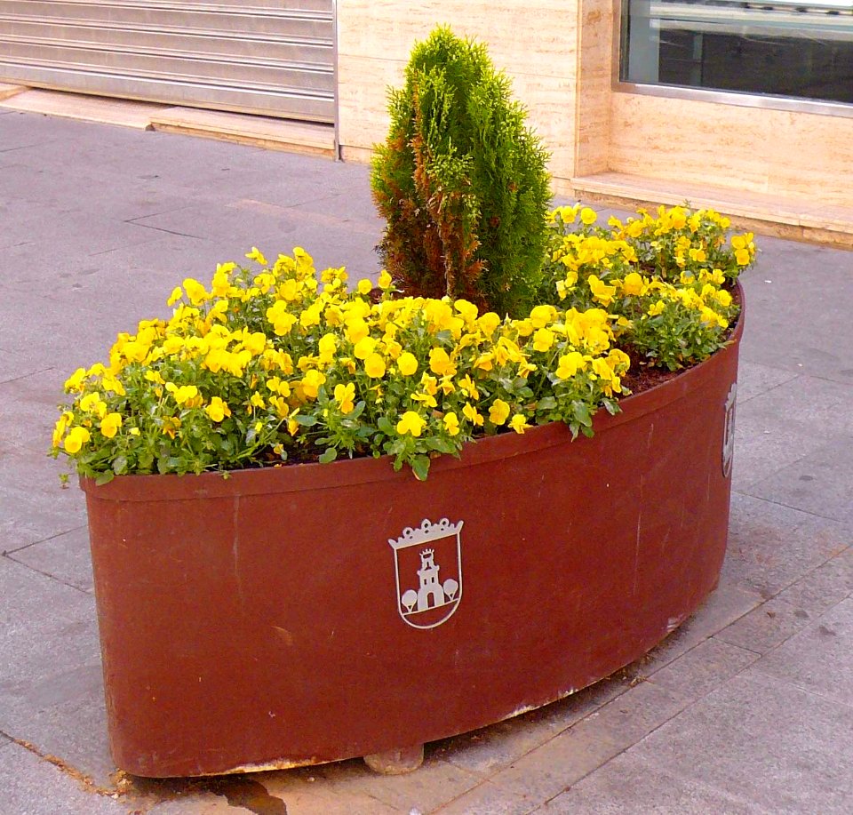 Torrijos - Maceteros urbanos 3