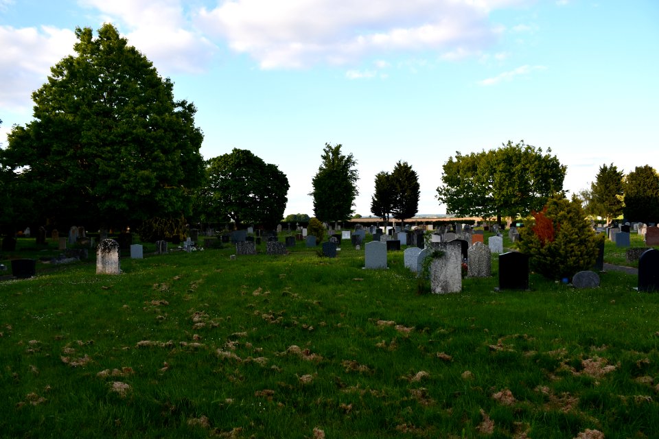 Topsham Cemetery 2020-05-16 07