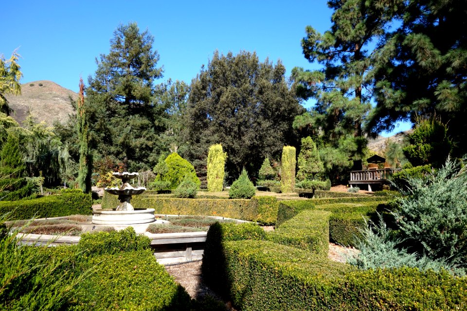 Topiary garden - Leaning Pine Arboretum - DSC05400