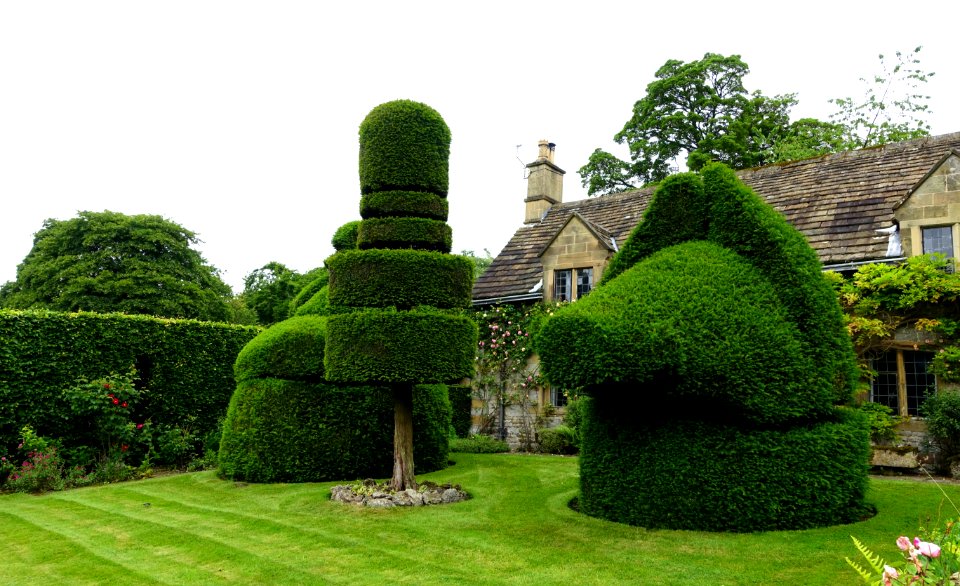 Topiary - Haddon Hall - Bakewell, Derbyshire, England - DSC02973