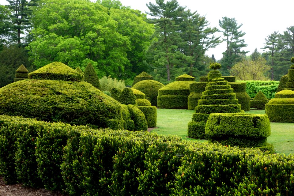 Topiary - Longwood Gardens - DSC00850