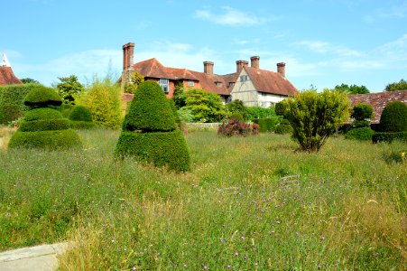 Topiary lawn at Great Dixter, July 2019 photo