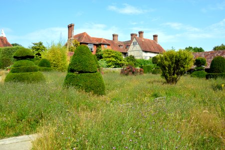 Topiary lawn at Great Dixter, July 2019