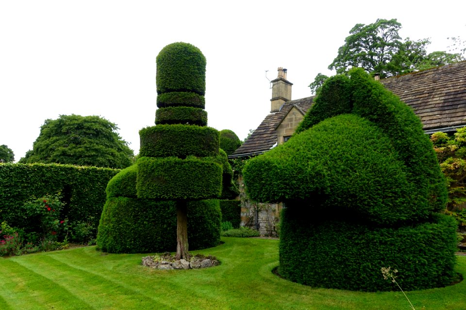 Topiary - Haddon Hall - Bakewell, Derbyshire, England - DSC02440