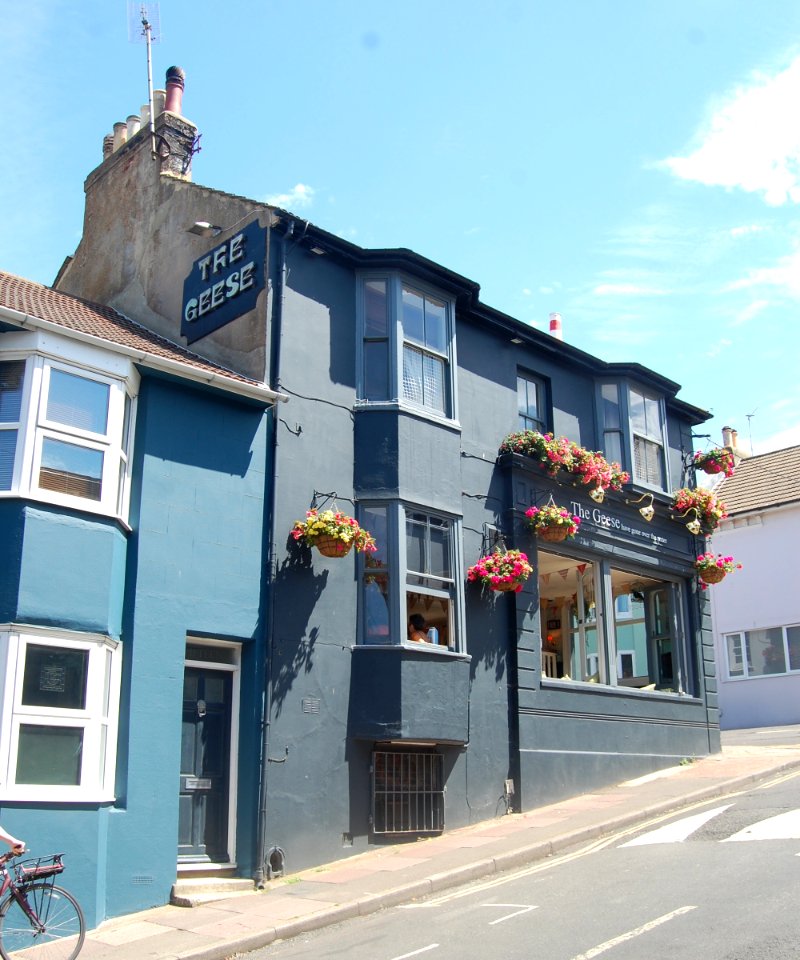 The Geese Have Gone Over The Water Pub, 16 Southover Street, Hanover, Brighton (July 2019) (2)