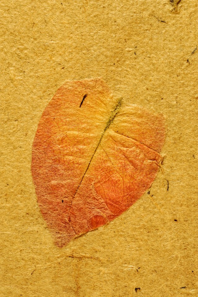 Background texture zen