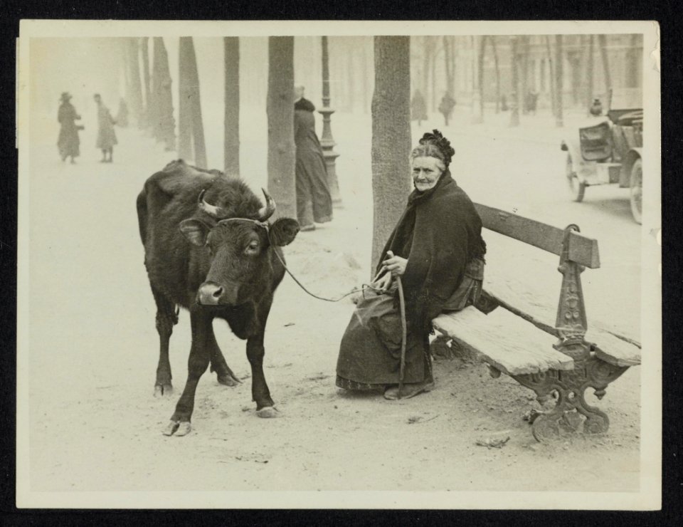 The German offensive. An old woman refugee who has been bombed out of her home …, Bestanddeelnr 158-1189