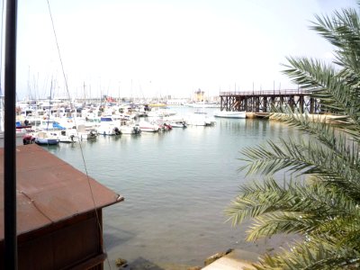 Torrevieja - Puerto 08