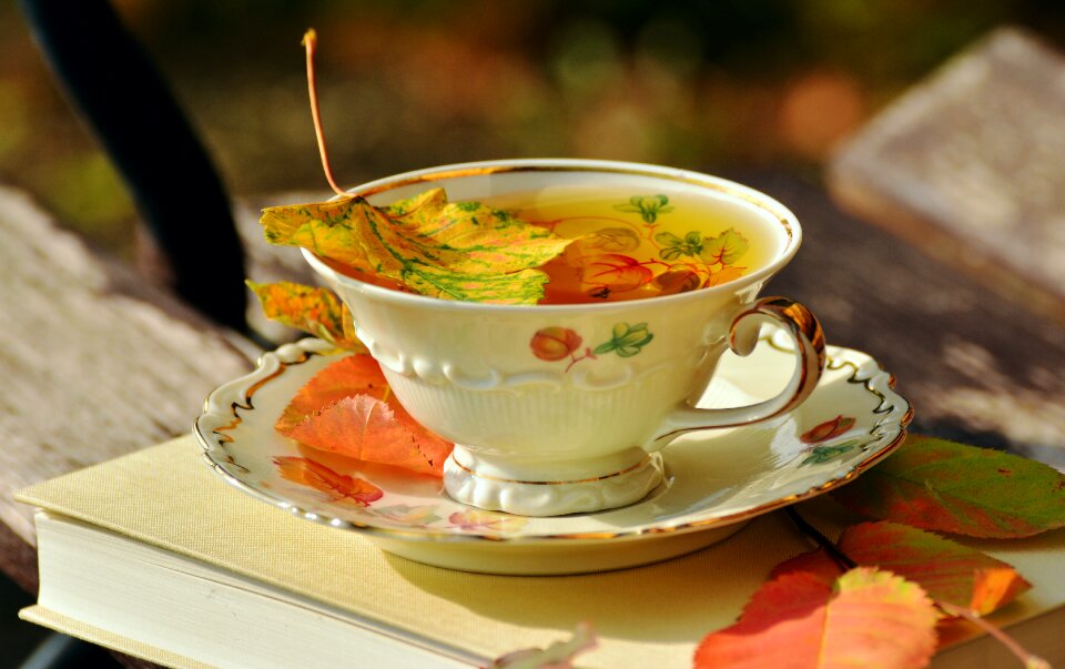 Autumn colours fall leaves tableware