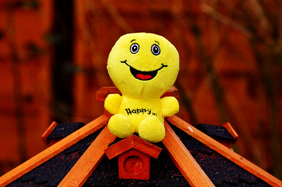 Funny emoticon emotion