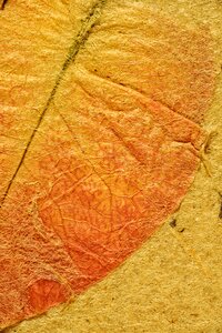 Background texture zen