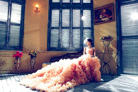 Elegant extravagant fancy