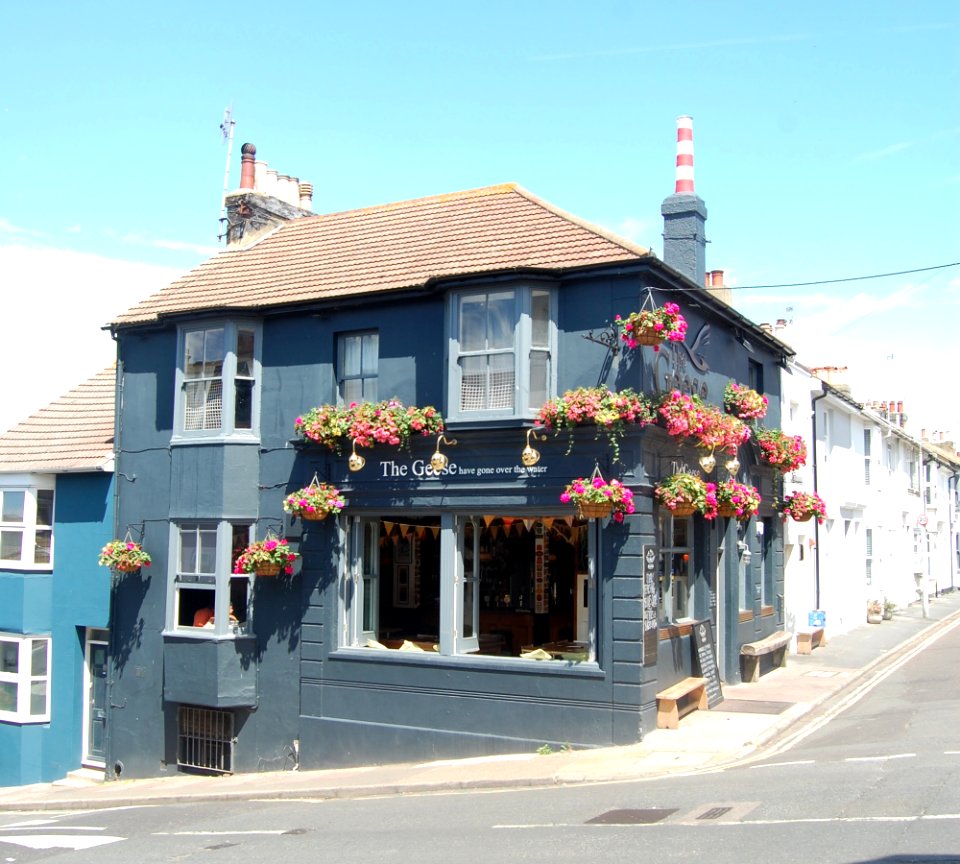 The Geese Have Gone Over The Water Pub, 16 Southover Street, Hanover, Brighton (July 2019) (4)