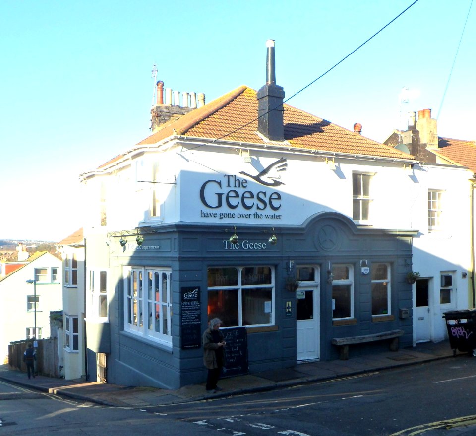 The Geese Have Gone Over The Water Pub, 16 Southover Street, Hanover, Brighton (January 2014) (1)