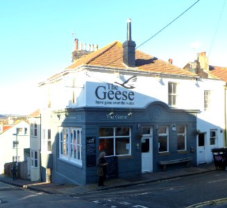 The Geese Have Gone Over The Water Pub, 16 Southover Street, Hanover, Brighton (January 2014) (1)