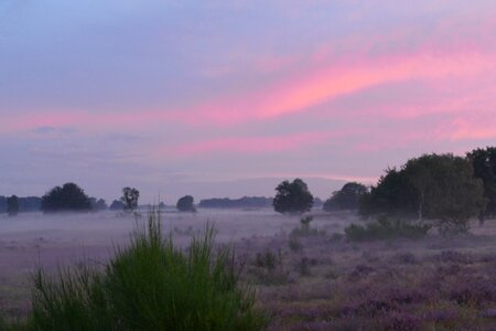 Heide sunrise air