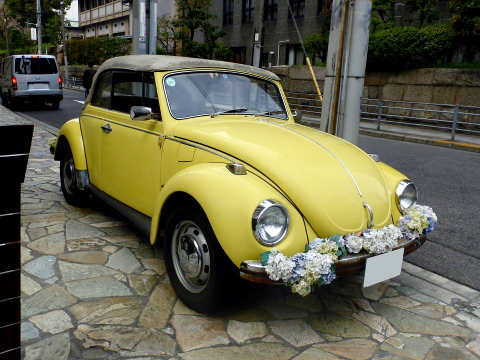 The frontview of Volkswagen Type 1 Cabriolet