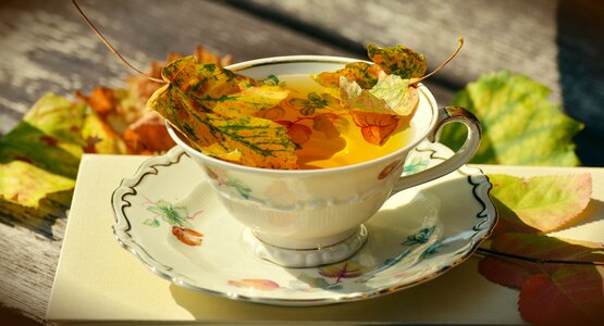 Autumn colours fall leaves tableware photo