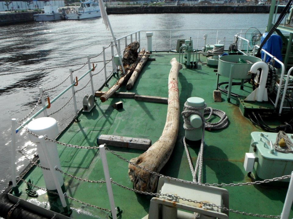 The game which was put on the rear deck of Beikurin the cleaning vessel of Japan Coast Guard
