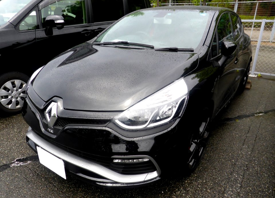 The frontview of RENAULT LUTECIA IV RS