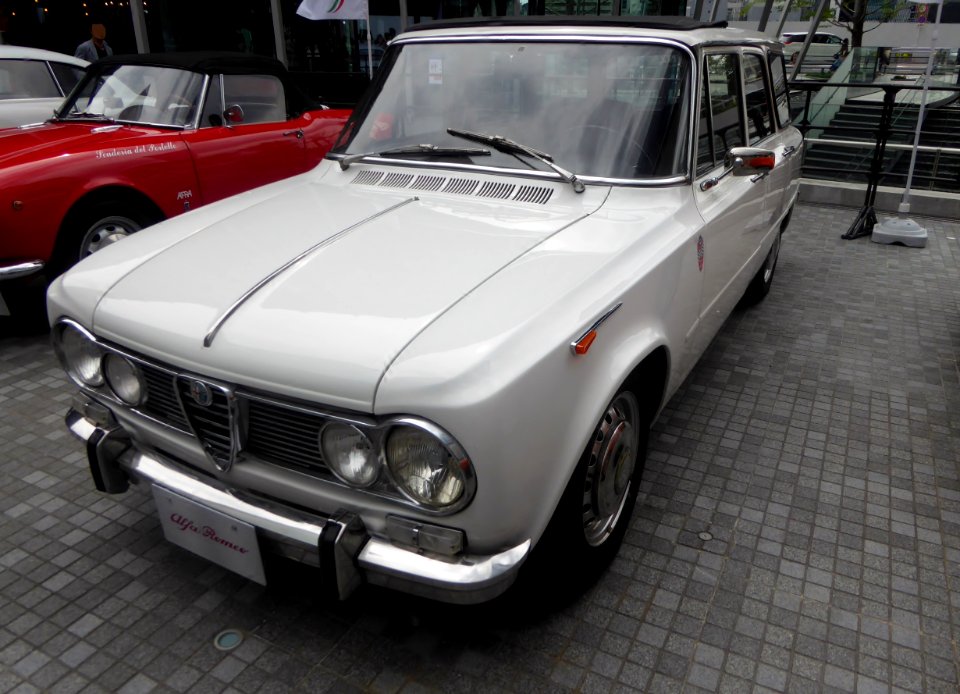 The frontview of Alfa Romeo Giulia Giardinetta
