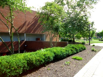 The College of New Jersey (TCNJ) 60