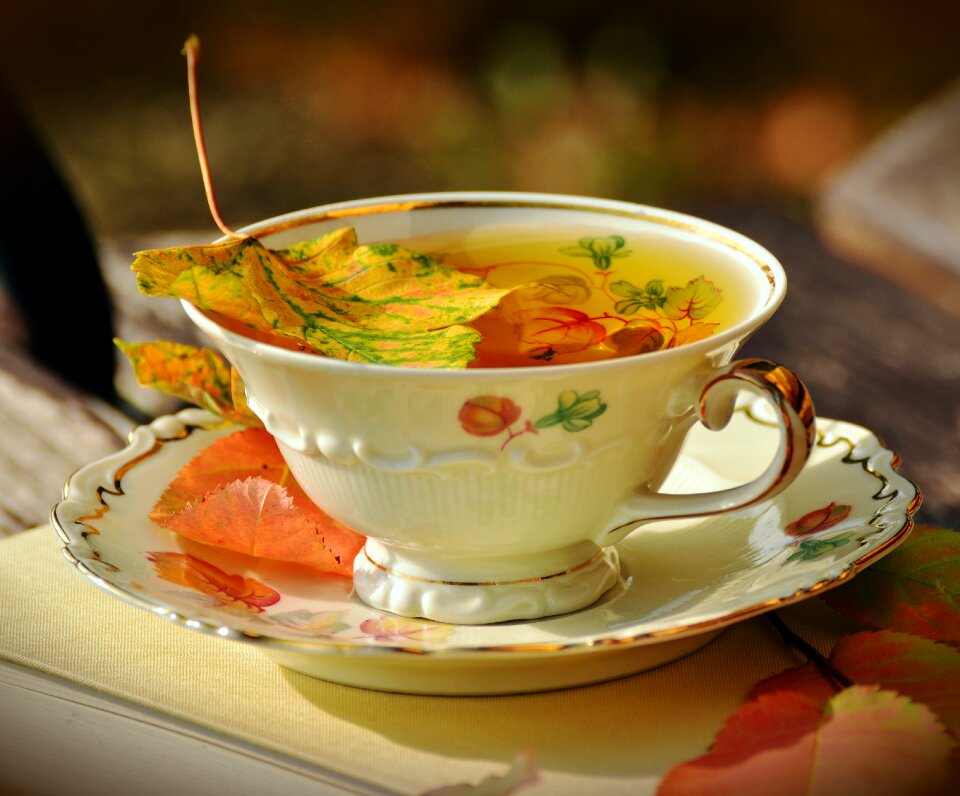 Autumn colours fall leaves tableware