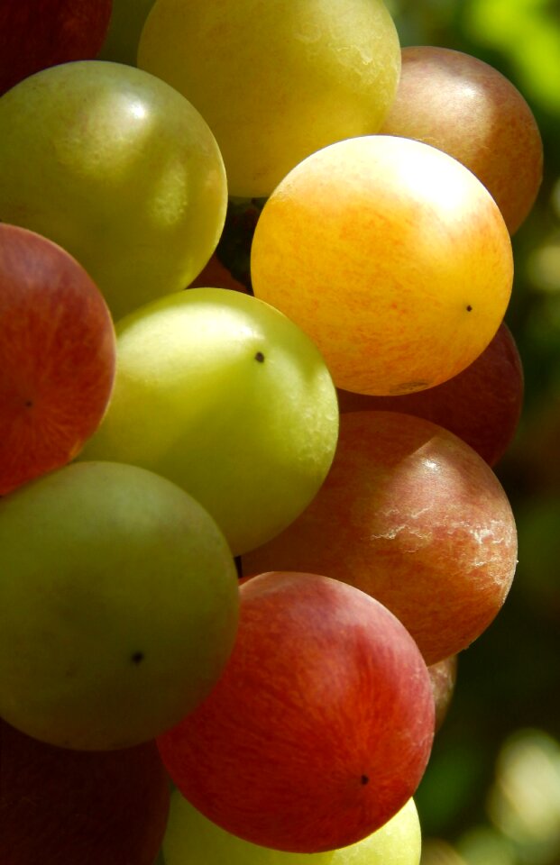 Healthy red juicy