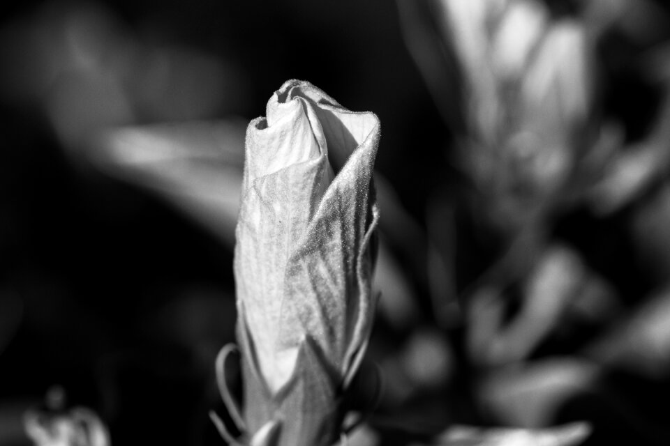 Thoughtful lonely mourning