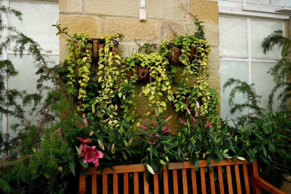 The Conservatory, Royal Tasmanian Botanical Gardens 05