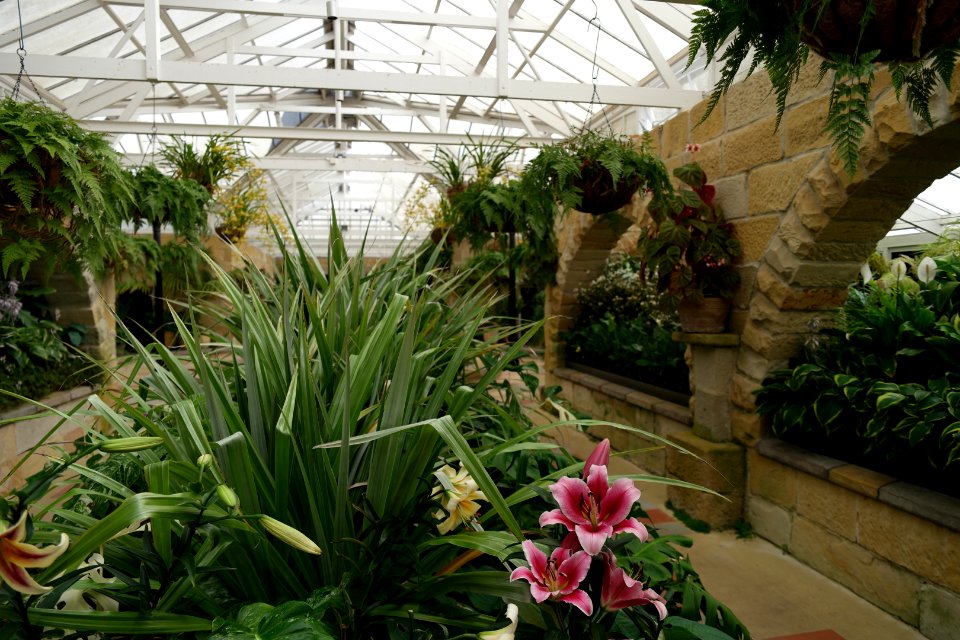 The Conservatory, Royal Tasmanian Botanical Gardens 01