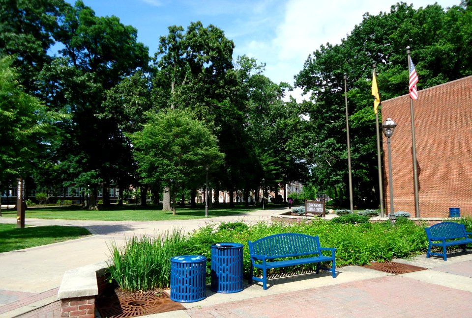 The College of New Jersey (TCNJ) 59