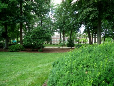 The College of New Jersey (TCNJ) 53