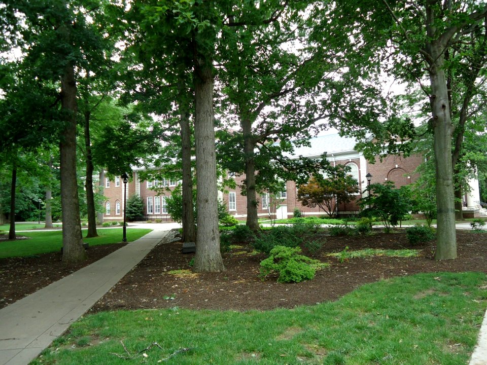 The College of New Jersey (TCNJ) 18