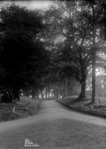 The drive entrance Norton Manor (1293454)
