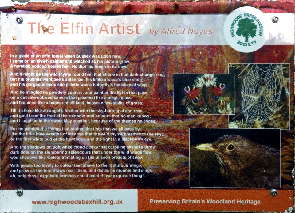 The Elfin Artist Information Board, Highwoods, Bexhill-on-Sea