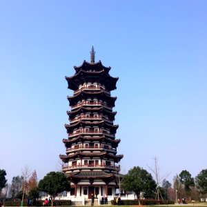 The Egret Tower in Yanghu Wetland Park in December 2017, picture2