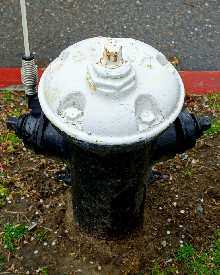 The Corey fire hydrant, Rensselaer Valve Mfg Co, Troy NY - Arlington, MA - DSC01070