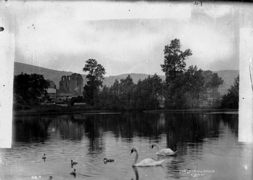 The lake and swans Clun (1293811)