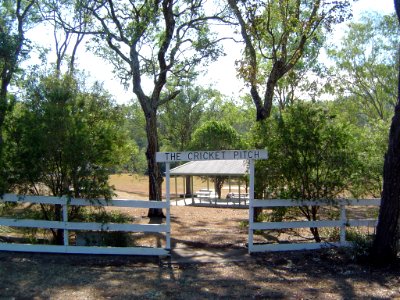 The Cricket Pitch Pine Mountain