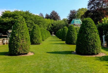 The Elms garden