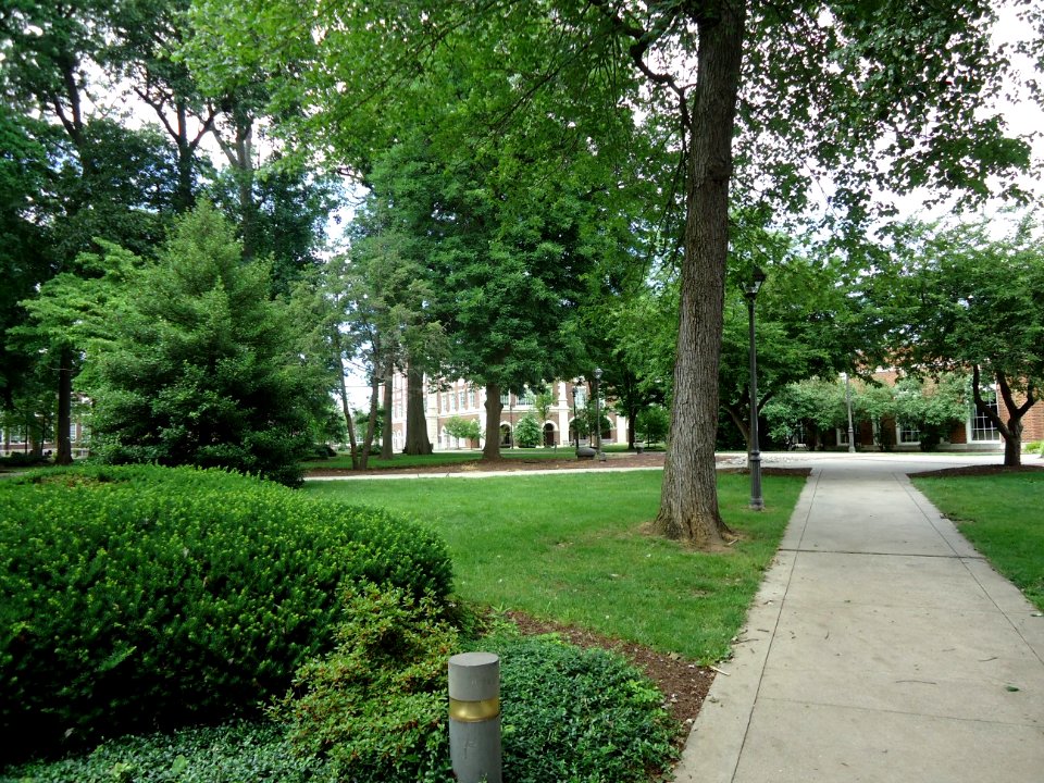The College of New Jersey (TCNJ) 52